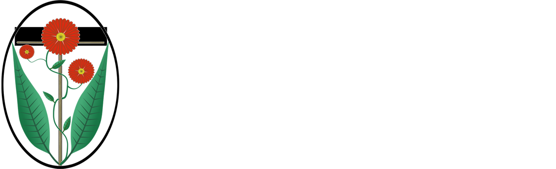 Sanguine Direct Primary Care